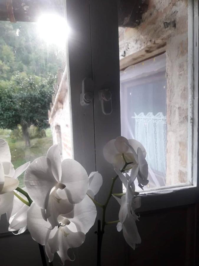 Il Giardino Dei Sogni Bed & Breakfast Montefortino Bagian luar foto